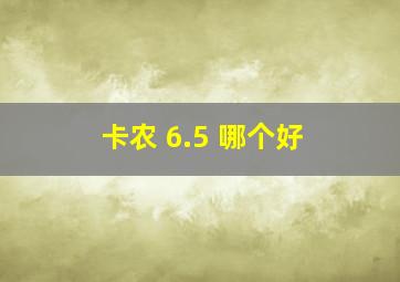 卡农 6.5 哪个好